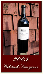 2005 Cabernet Sauvignon