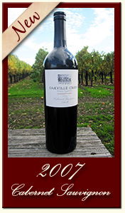 2007 Cabernet Sauvignon